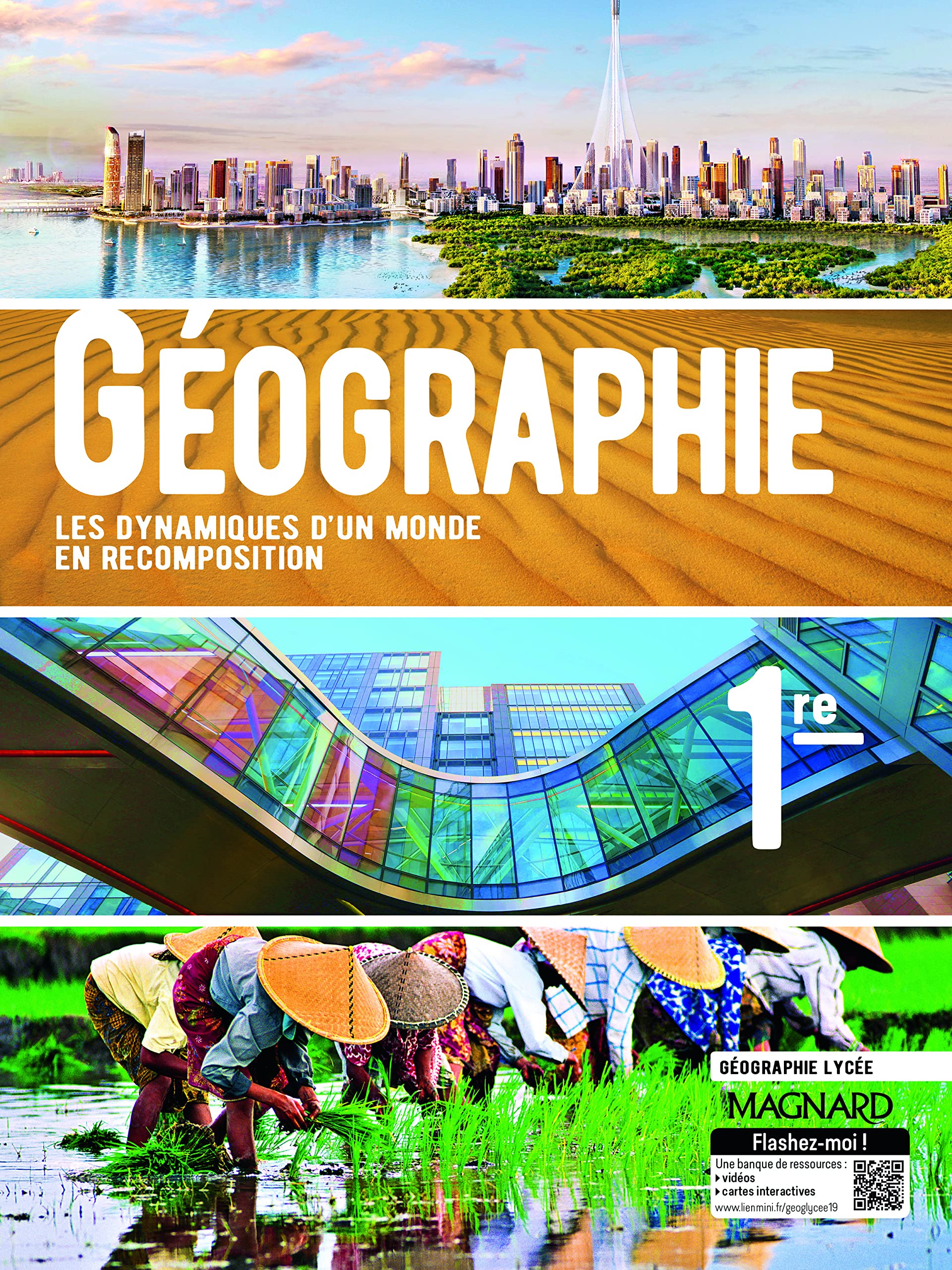 Géographie 1re: Les dynamiques d'un monde en recomposition