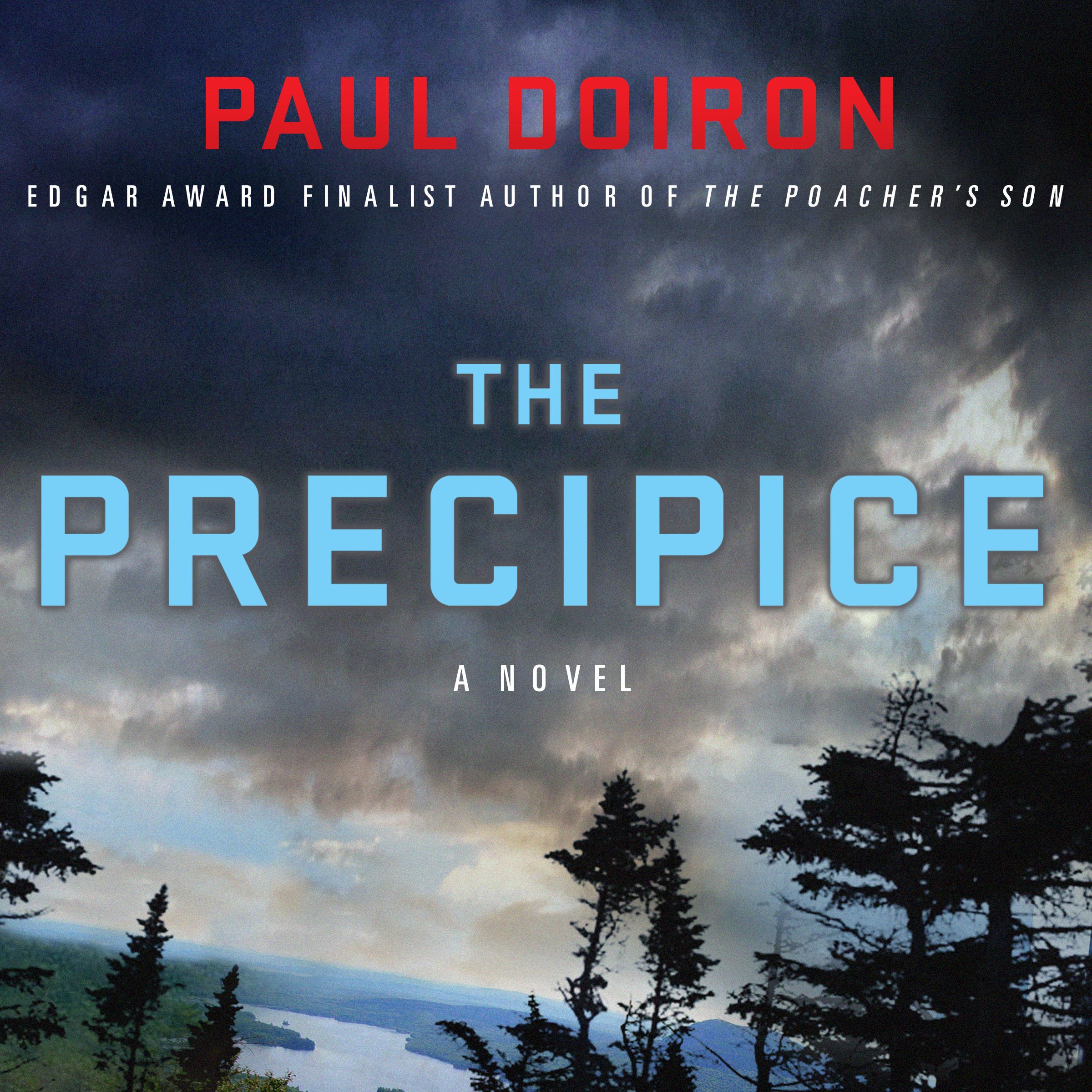 Cover art for The Precipice