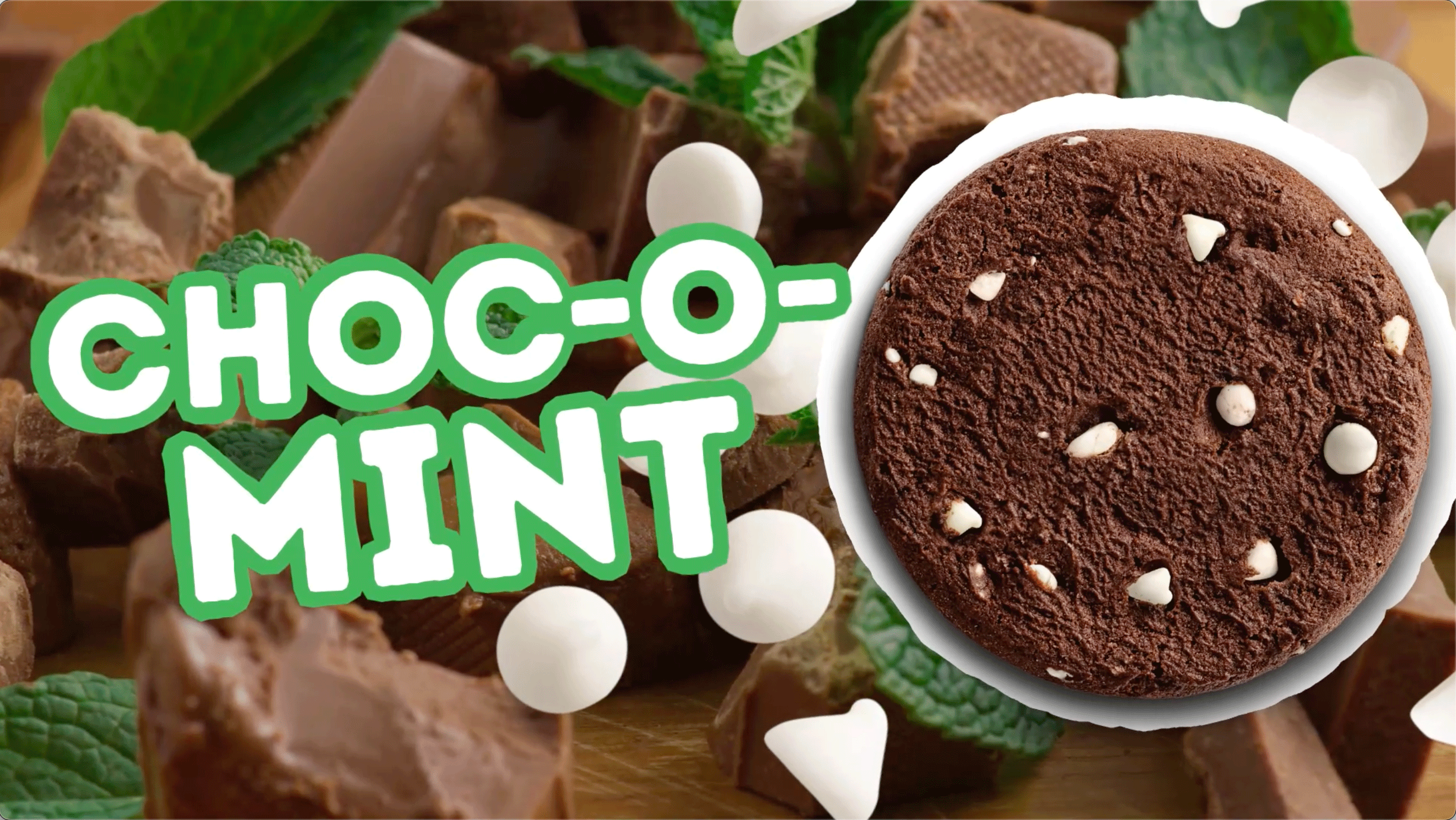 Amazon.com: Lenny & Larry's Protein Cookie, [Choc-O-Mint], Chewy