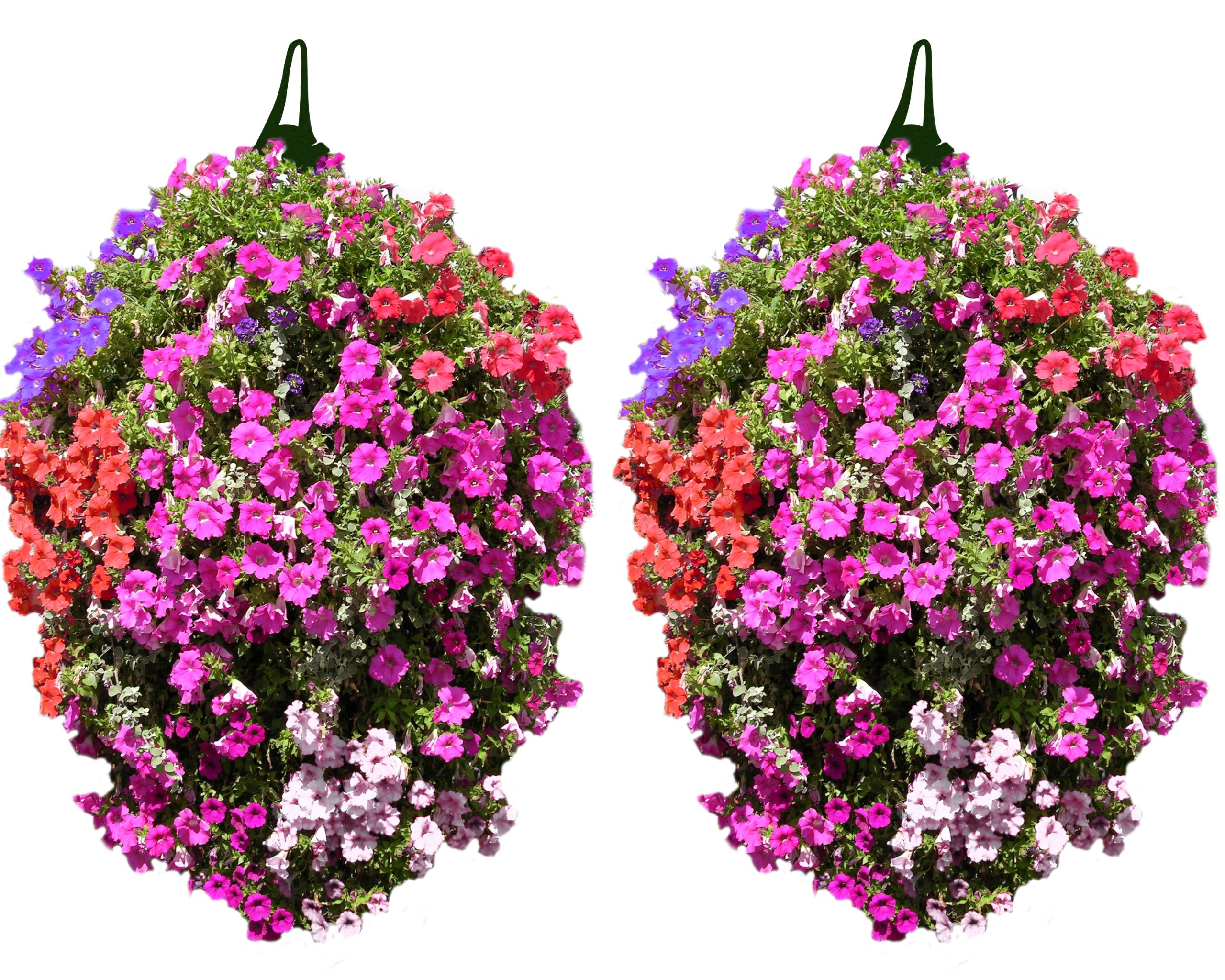 Greena™ Flower Pouches - Pack of 2 - Make stunning flower displays!