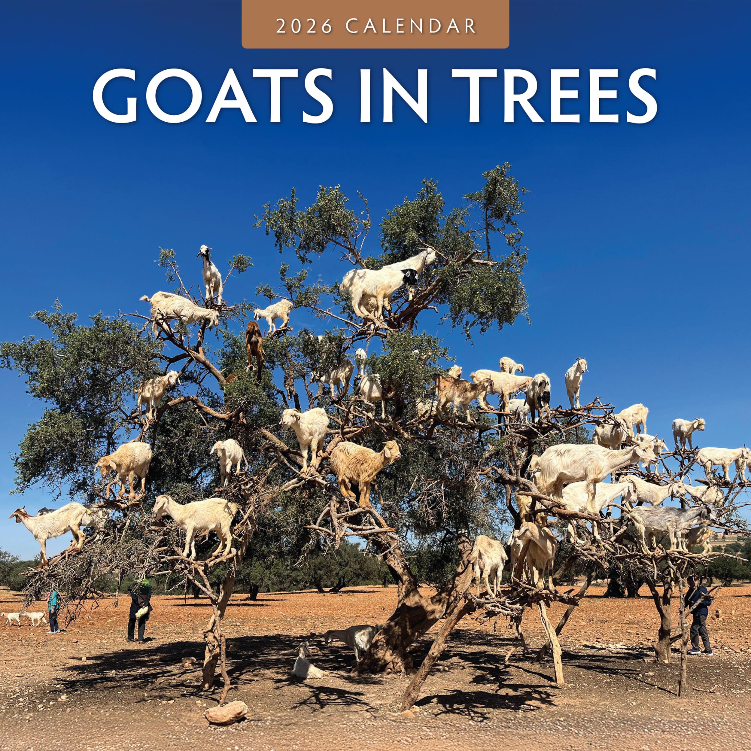 Red Robin 2026 Goats in Trees Monthly Wall Calendar | 12" x 24" Open | Premium Thick & Sturdy Paper | Hangable 12 Month Calendar | Lined Notes & To Do