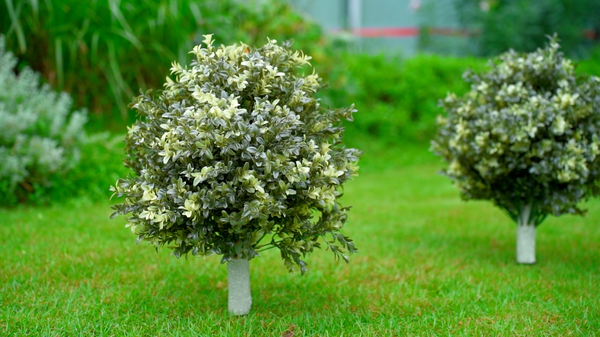 Amazon.com - CroBlissful 4 Pack Artificial Boxwood Topiary Ball 24