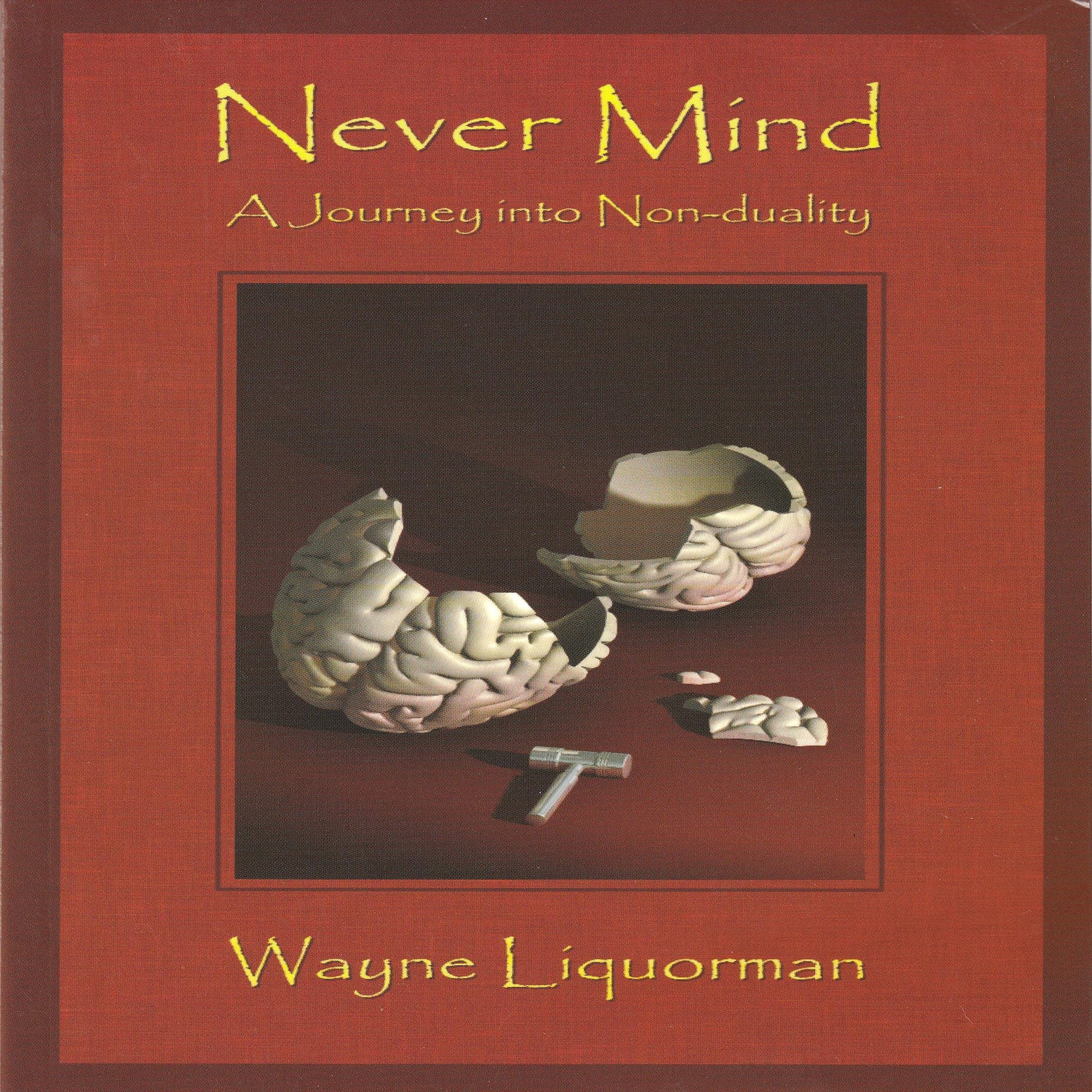 Never Mind - A Journey into Non-duality