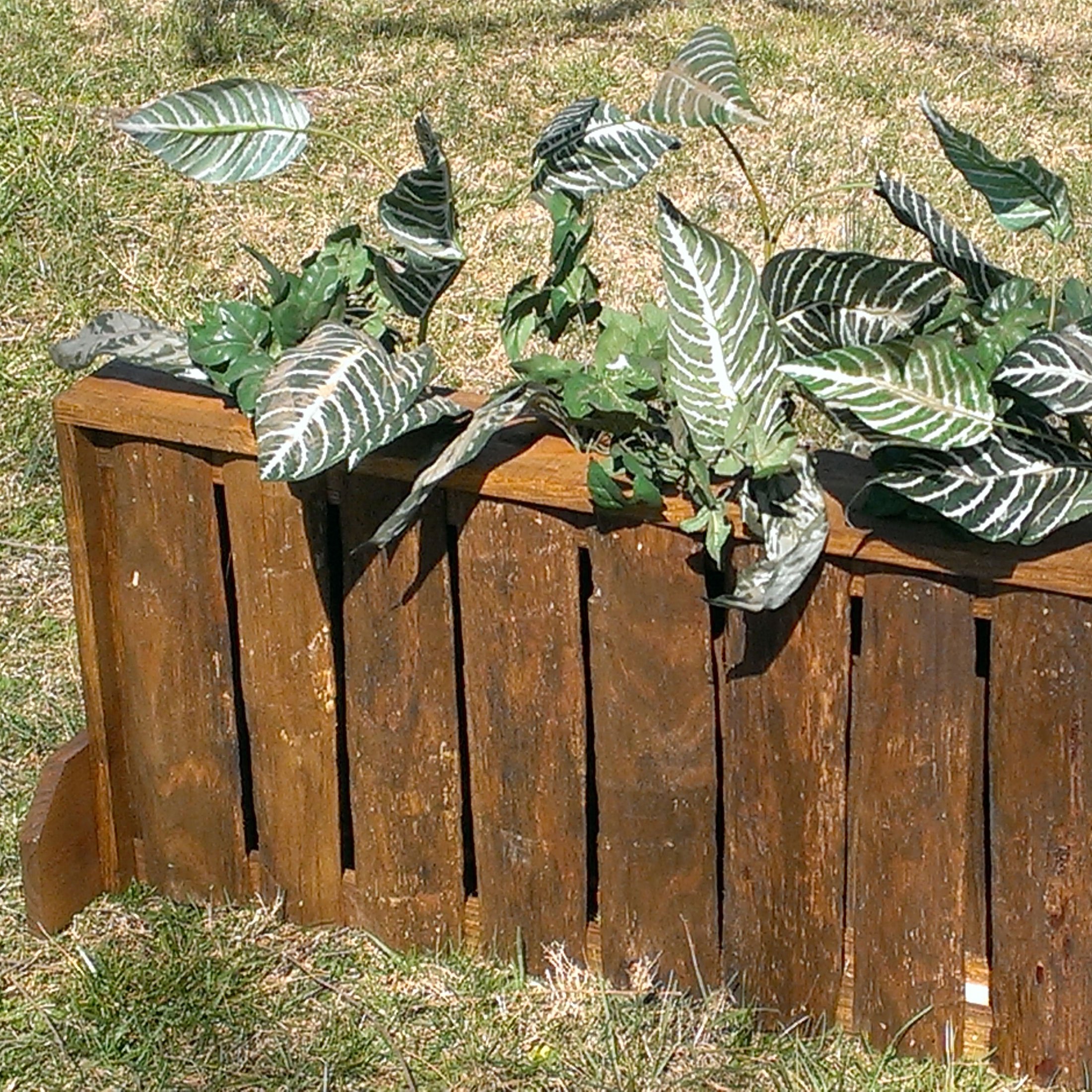 Platinum Jumps Natural Bark Brush Box Horse Jumps Set/2