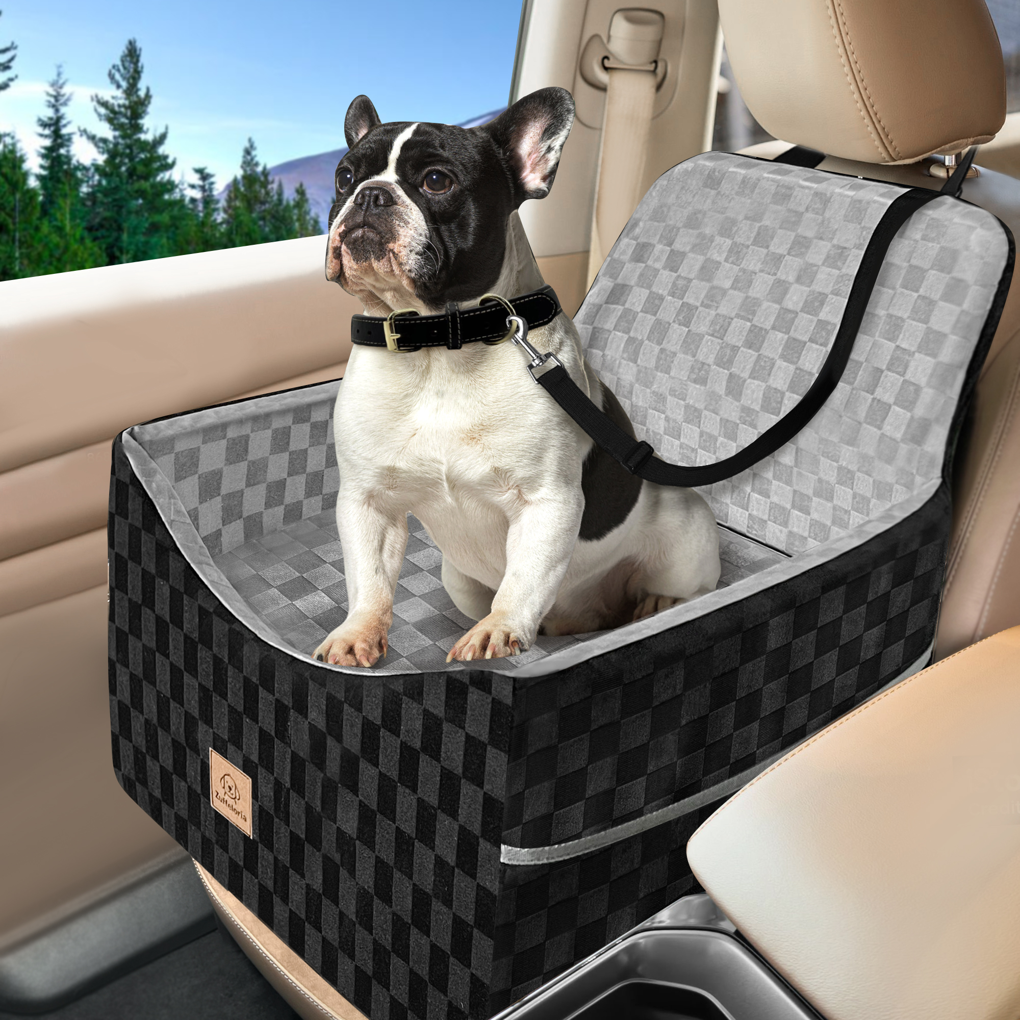 Dog Car Seat for Small and Medium Dogs Up to 35 lbs –Memory Foam Dog Booster Seat with Safety Leash & Storage Pockets, Fits Front & Back Car Seats, Removable Washable Cover – Black - image 7