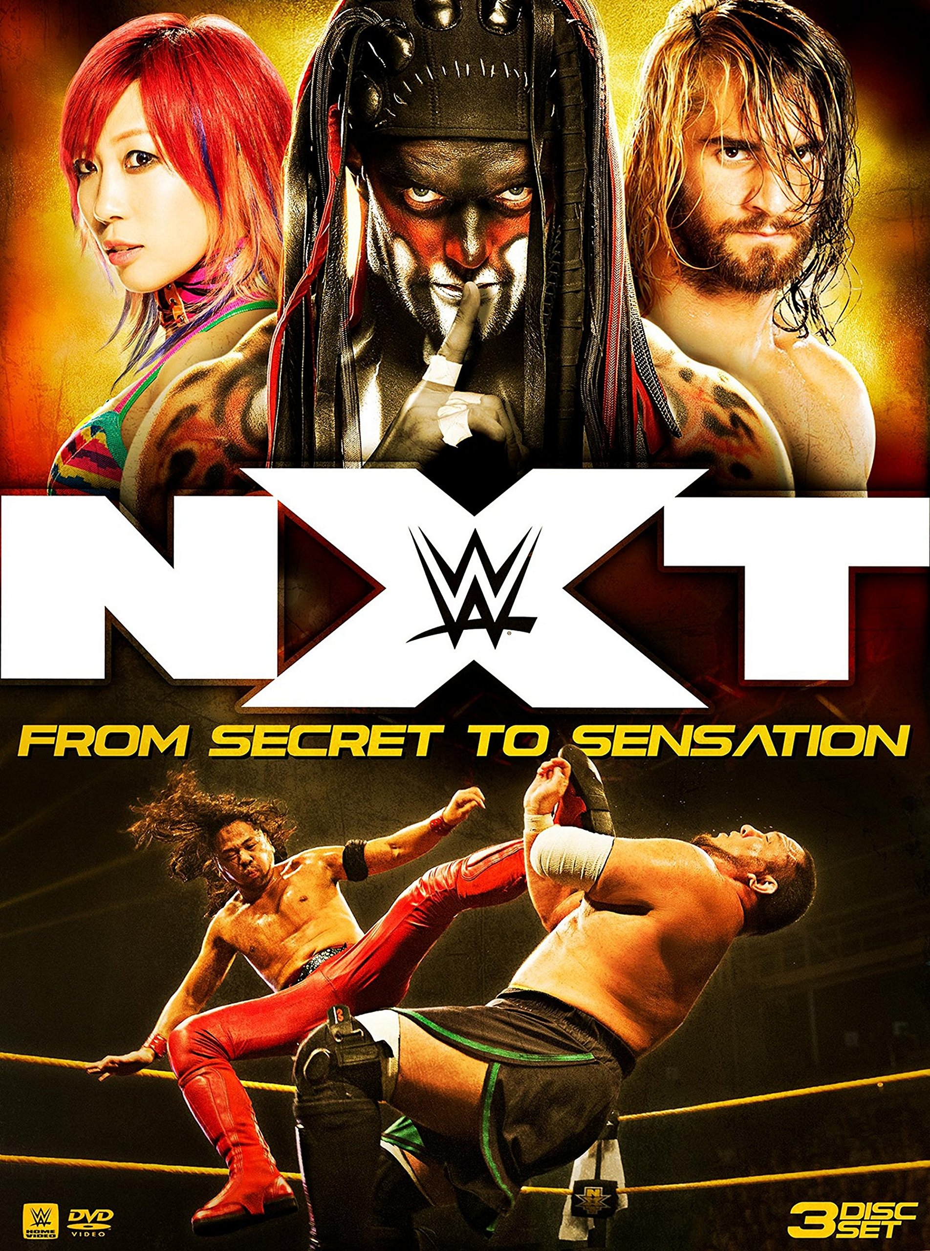 WWE 特集DVD 4本セット　プロレス WWE 特集DVD 4本セット プロレス