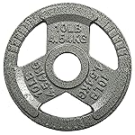 Cast Iron Plate Weight Plate for Strength Training and Weightlifting, 2-Inch Center, 10LB (Single)