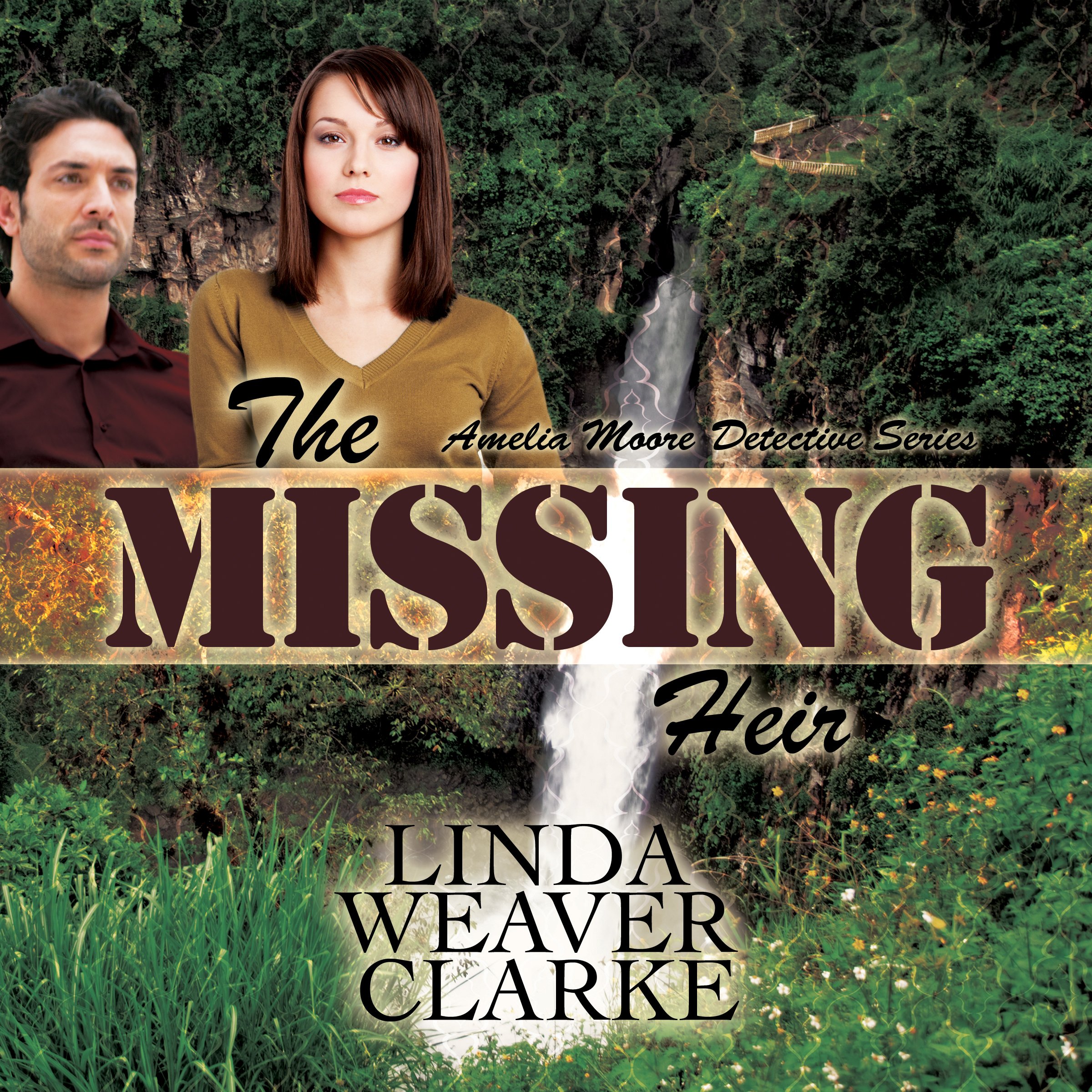Cover art for The Missing Heir