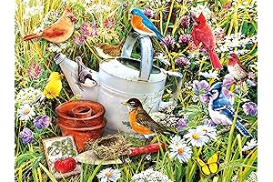 Ceaco's Birdwatching Bonanza: A 500-Piece Jigsaw Extravaganza!