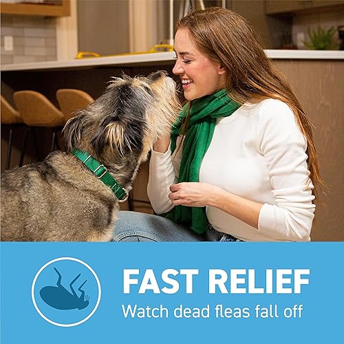 Miniatura 5 de Capstar (Nitenpyram) Tratamiento oral de pulgas de acción rápida para perros de 2 a 25 libras, tabletas de medicamentos recomendadas por