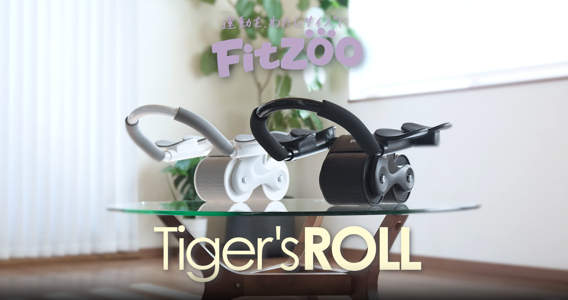 Amazon.co.jp: 【初めてでも安心。両面フルカラー取説付き】FitZOO