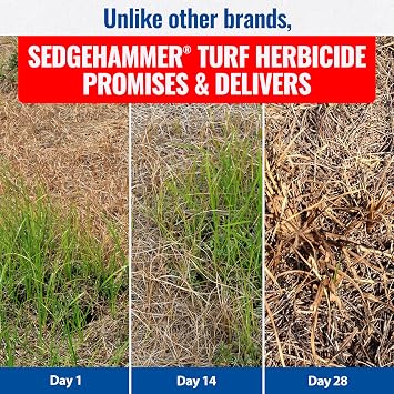 Sedgehammer Herbicide - 1 Pack of 1.33oz Bottle of USA-Made Post-Emergent Nutsedge Killer for Lawns - Lawn & Pet Safe Weed Killer for Commerical & Large Area Use - Also Works on Horsetail & Kyllinga
