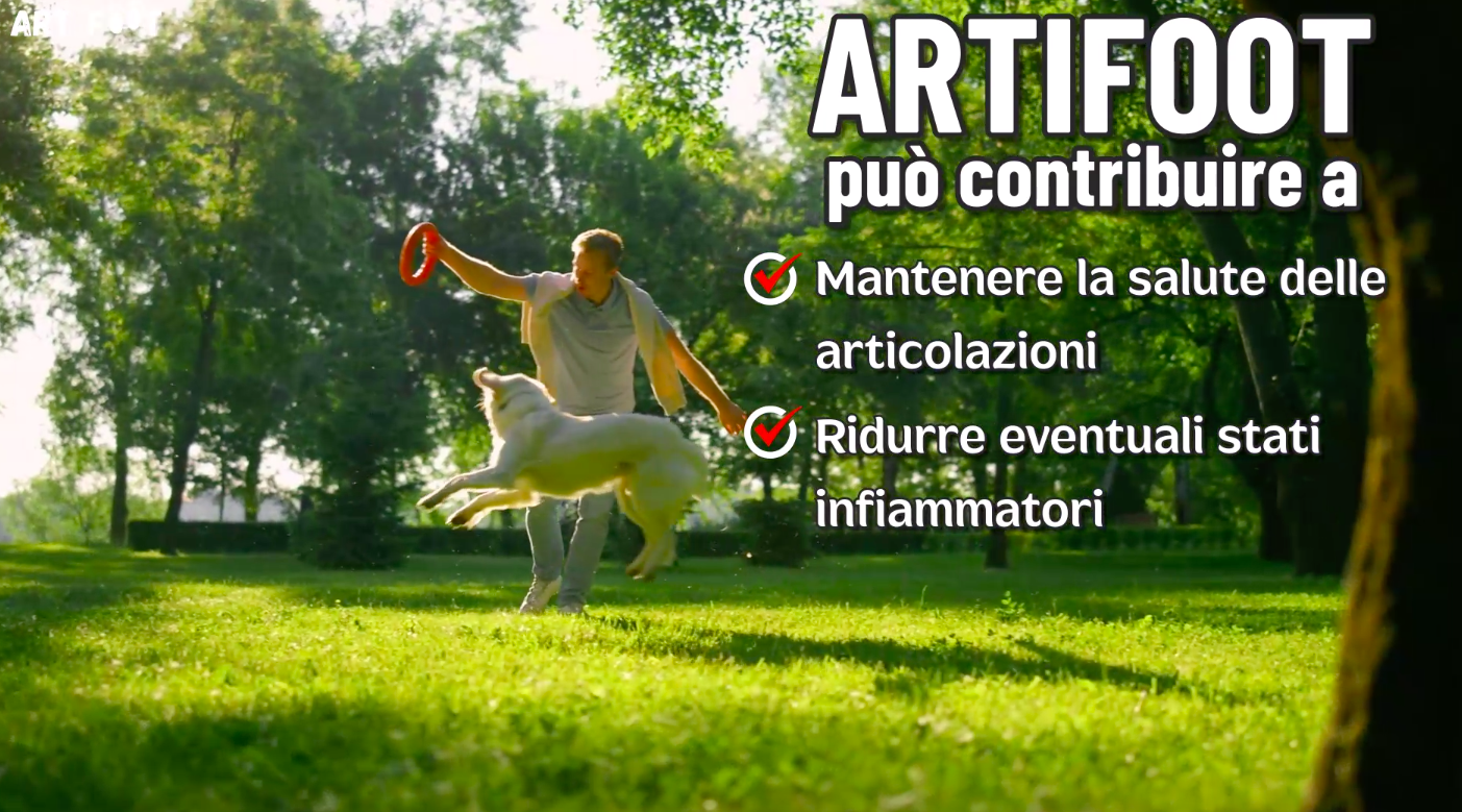 Integratore Articolazioni Per Cani PETS Dolfos ArthroFos - Con Glucosamina E Condroitina, 90 Compresse - Sostegno Per Cani Anziani E Di Taglia Grande