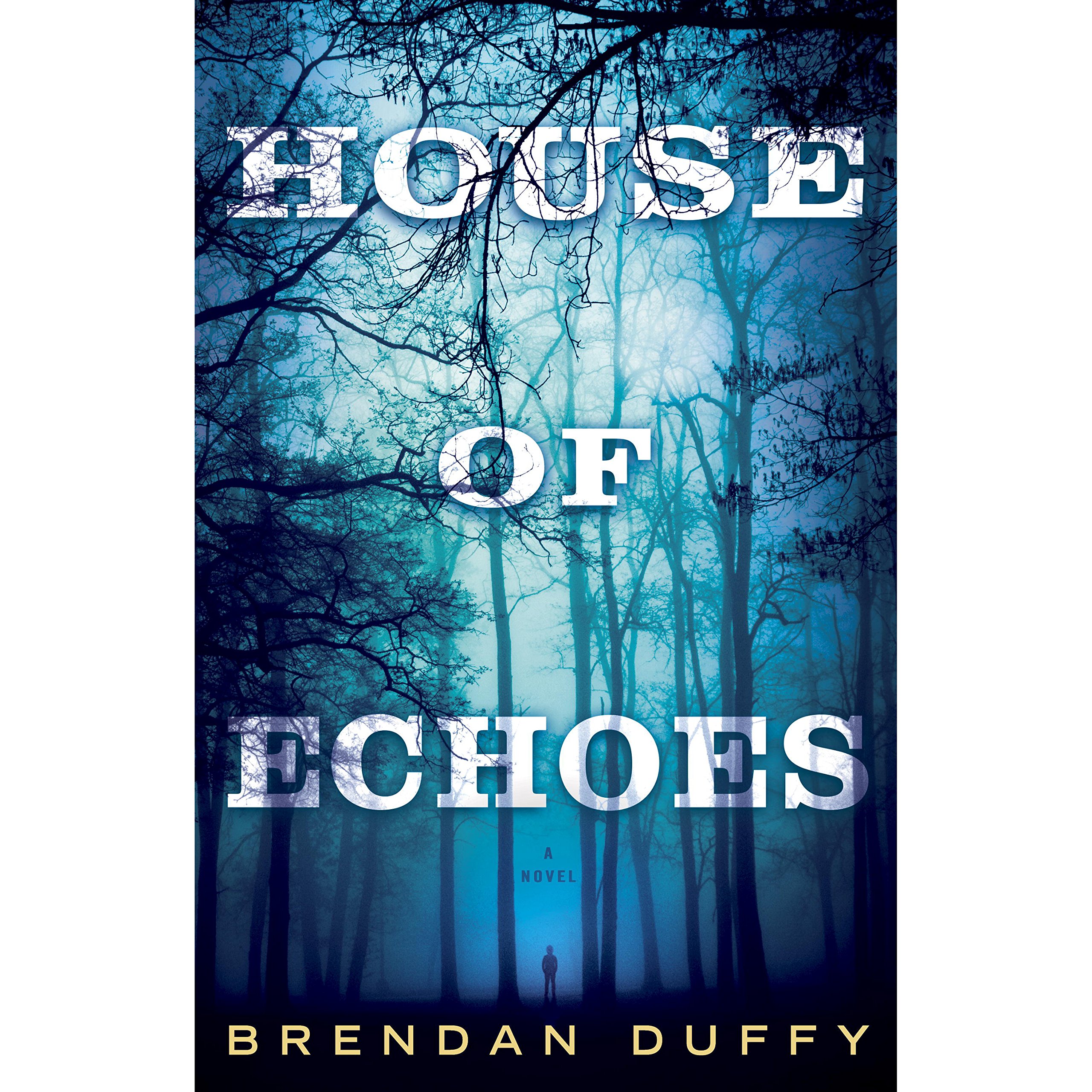 Cover art for House of Echoes
