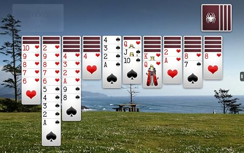 Spider Solitaire+