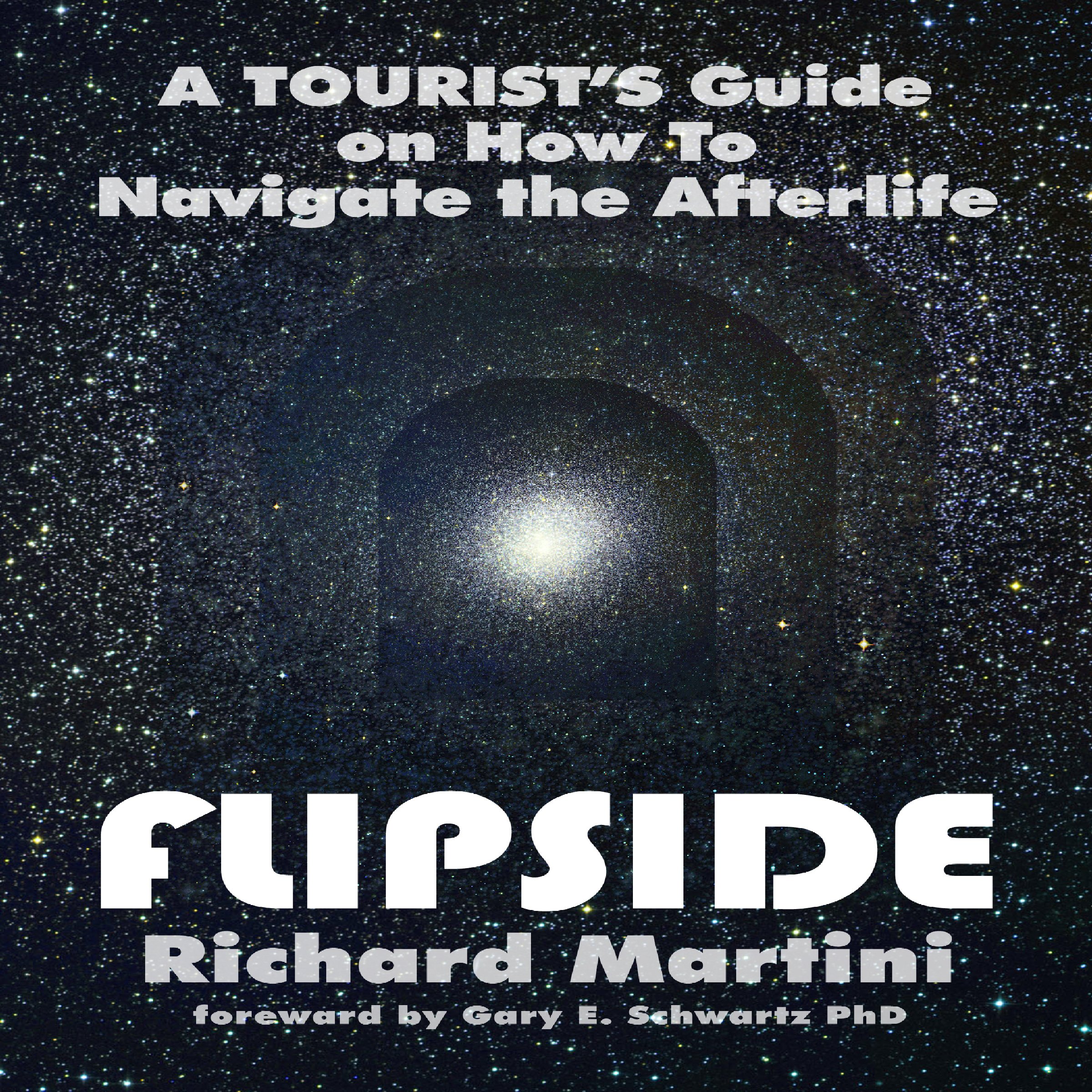Cover art for Flipside