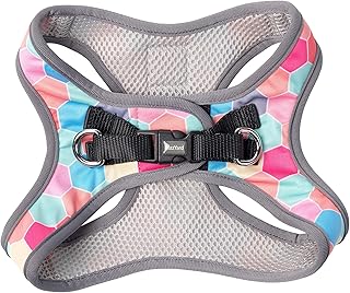 FuzzYard The Hive Step In Harness, L, Multicolor