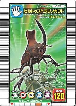 A1loBSWZo0L._AC_UF350,