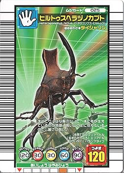 Amazon.co.jp: ムシキング MUSI-025-2006DS ヒルトゥスヘラヅノ Amazon.co.jp: ムシキング MUSI-025-2006DS ヒルトゥスヘラヅノ