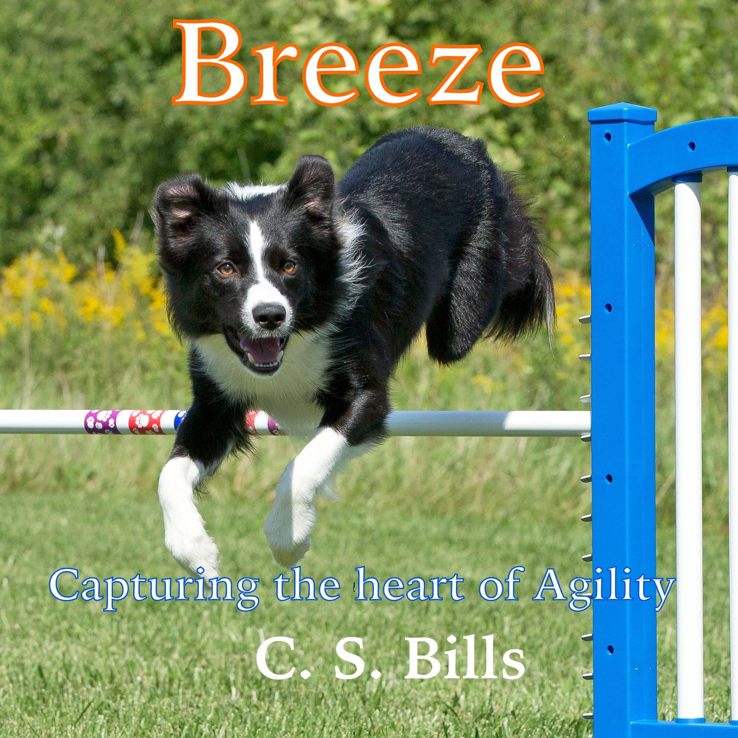 Cover art for Breeze