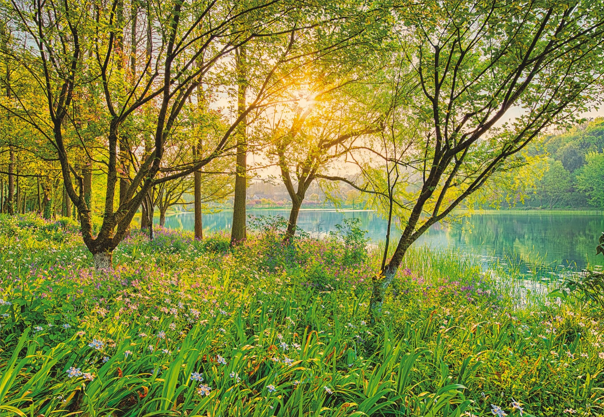 Komar 8-524 - Poster Gigante - Spring Lake