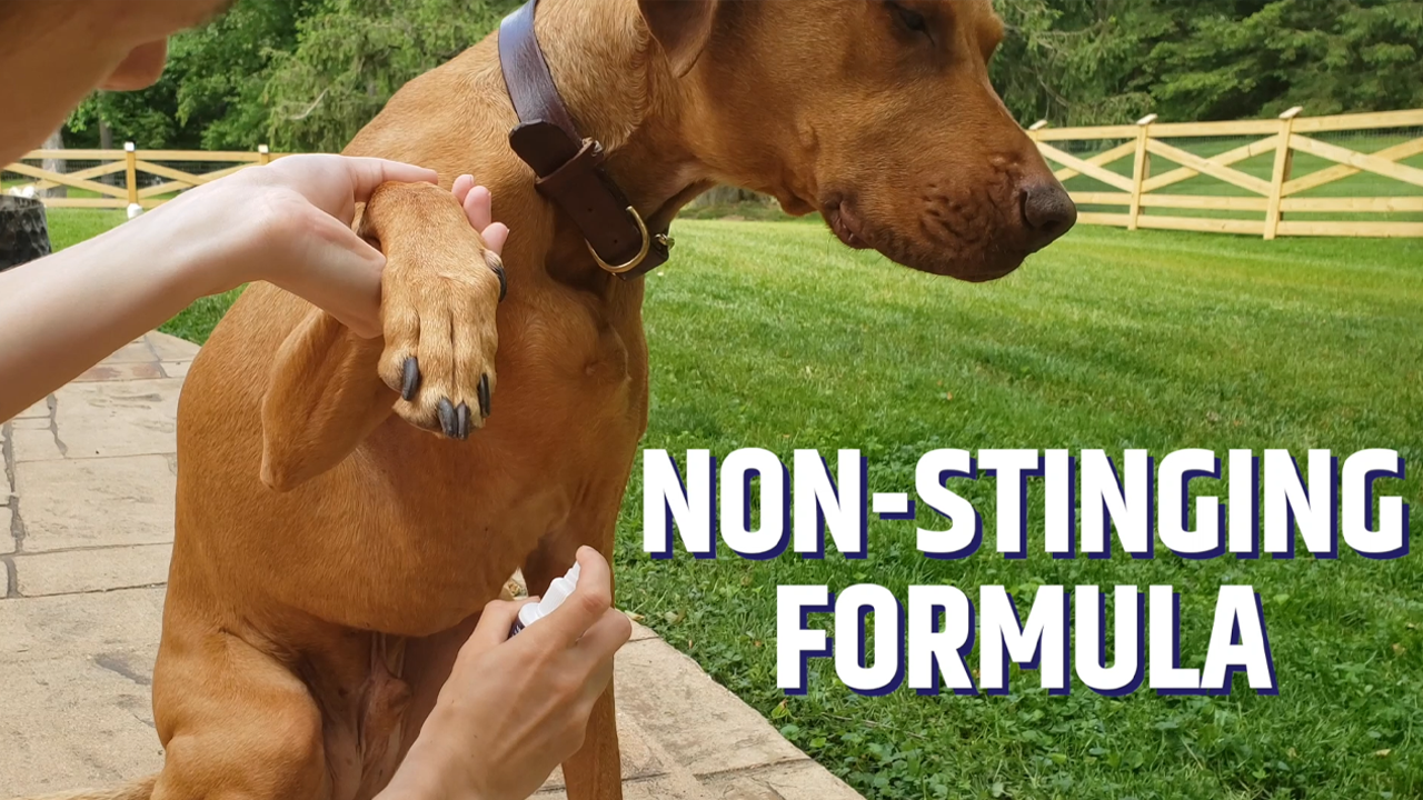 Pet MD Hydrocortisone Spray for Dogs, Cats, Horses - Itch Relief Spray & Hot Spot Treatment for Dogs, Irritated Dry… - Image 7
