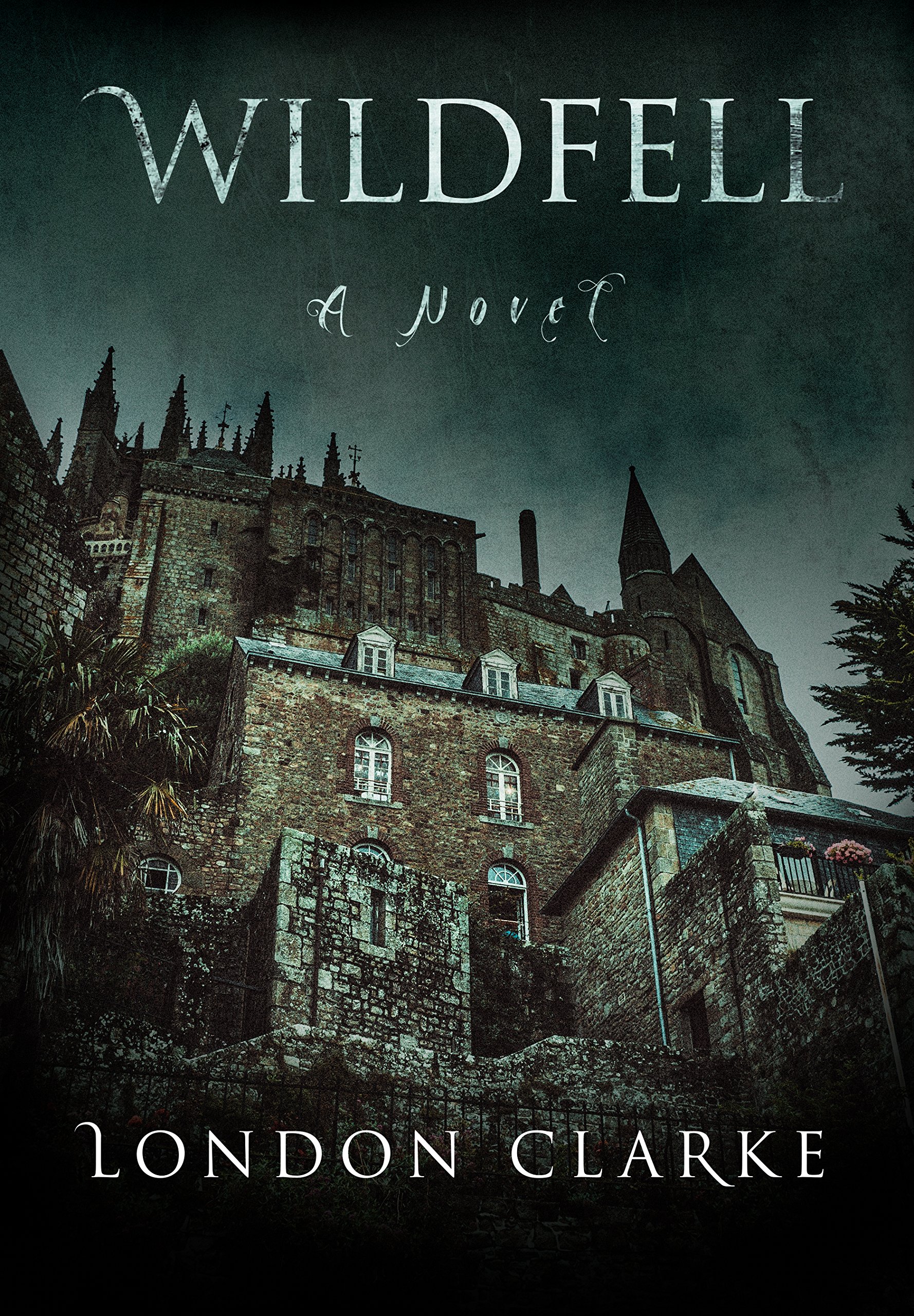 Wildfell: A page-turning contemporary novel of gothic suspense.