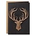 Hallmark Signature Birthday Greeting Card for Him (Deer Head)