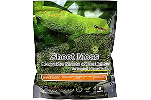 Galápagos 8-Quart Sheets of Live Moss Carpet