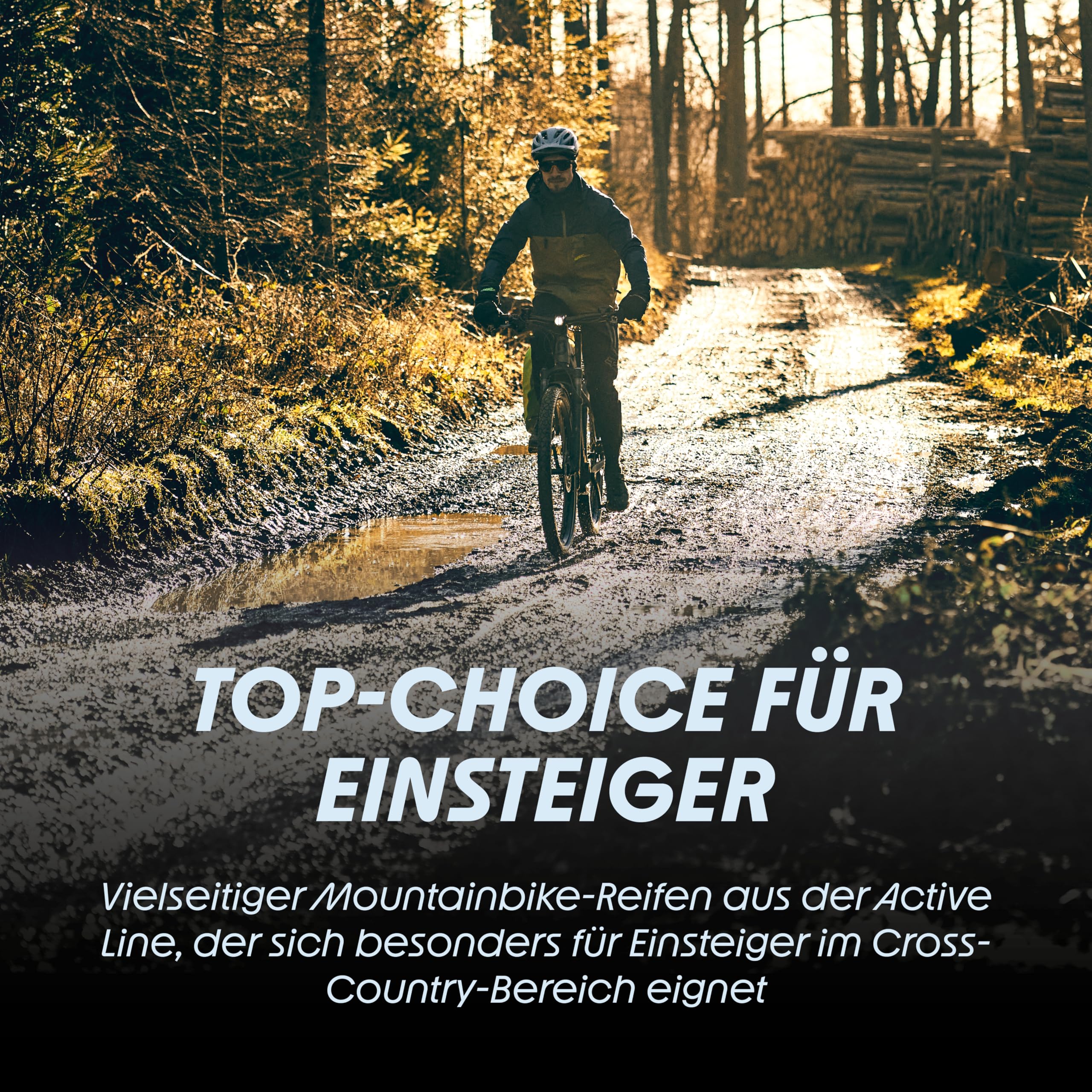 Schwalbe Rapid Rob MTB Fahrradreifen – 26/27.5/29 Zoll – XC-Profil, K-Guard Pannenschutz – Hinterradreifen Mountainbike – Schwalbe Reifen MTB