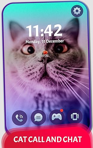 Videochamadas e Chat do gato