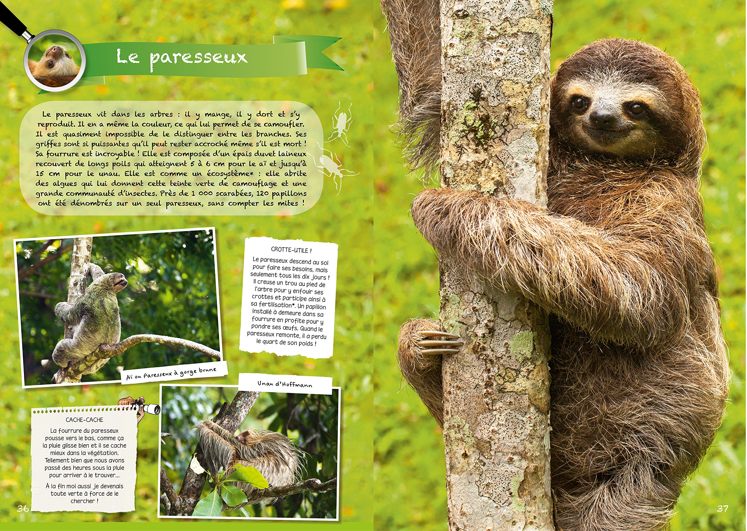 Comme dans la nature: Inspiration pour éco-explorateurs