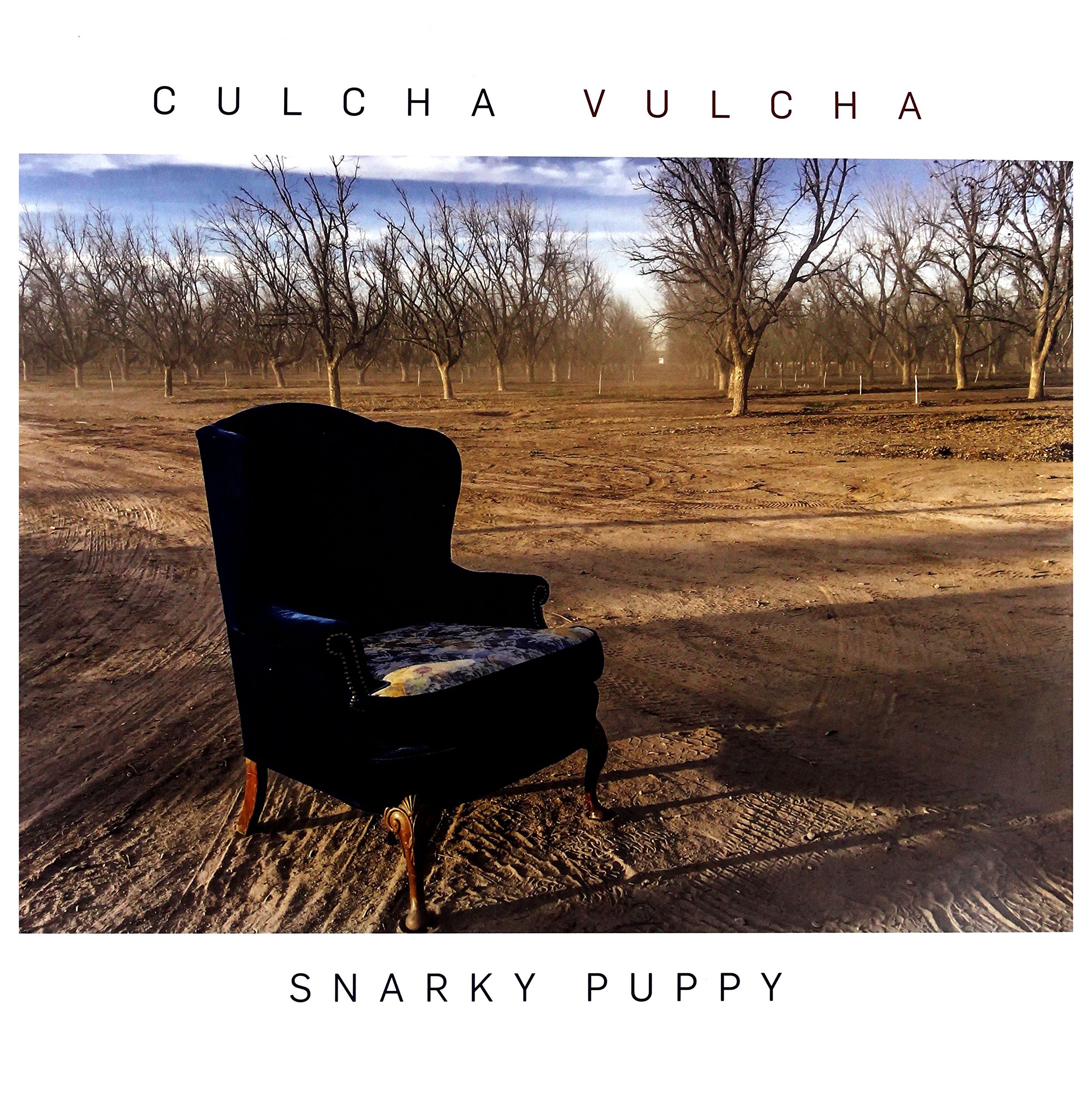 Culcha vulcha - Double vinyl
