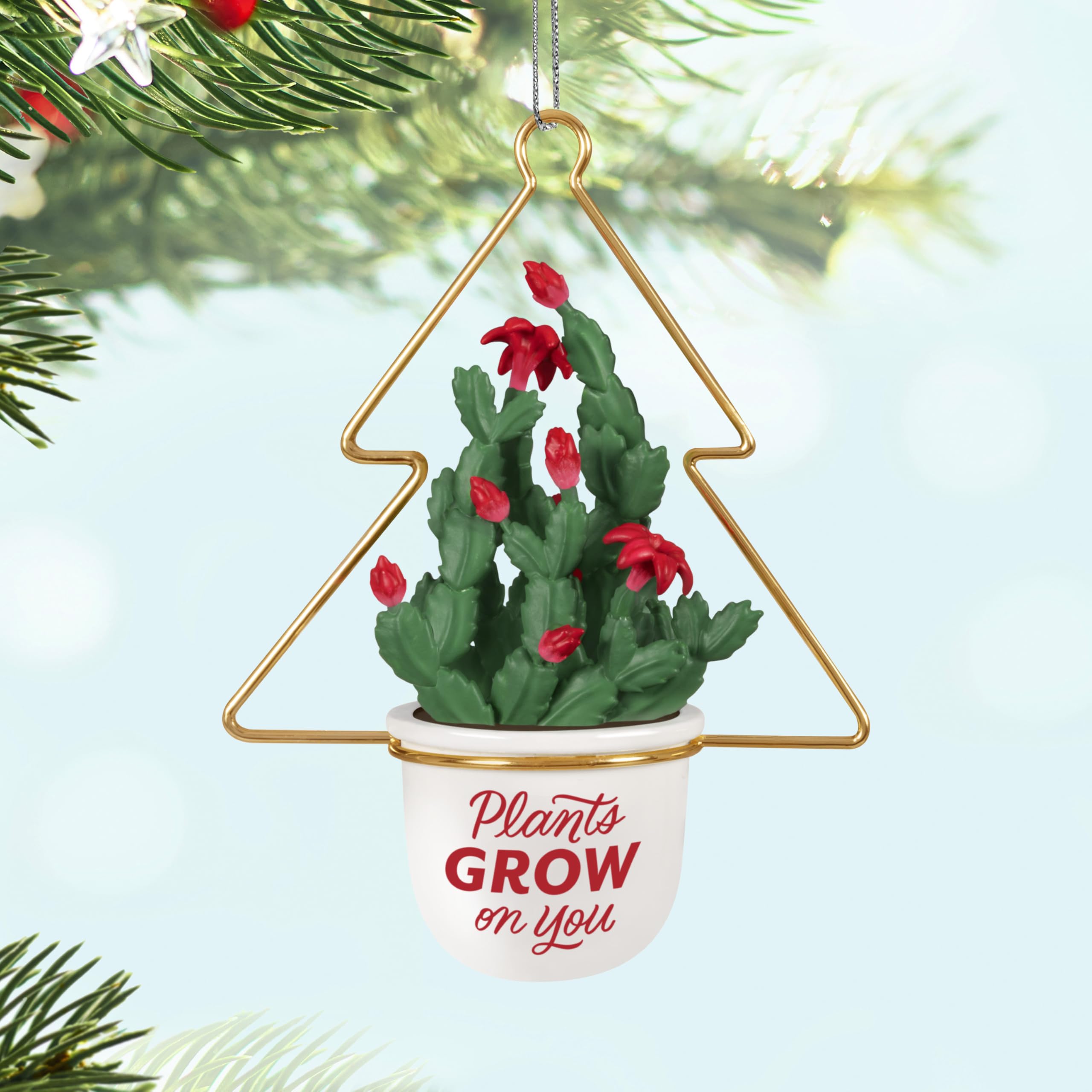 Hallmark Ornamenti Di Natale – 'You Grow Girl' – Decorazione A Forma Di Pianta In Vaso Per Albero Di Natale – Regalo Per Amanti Delle Piante - 3