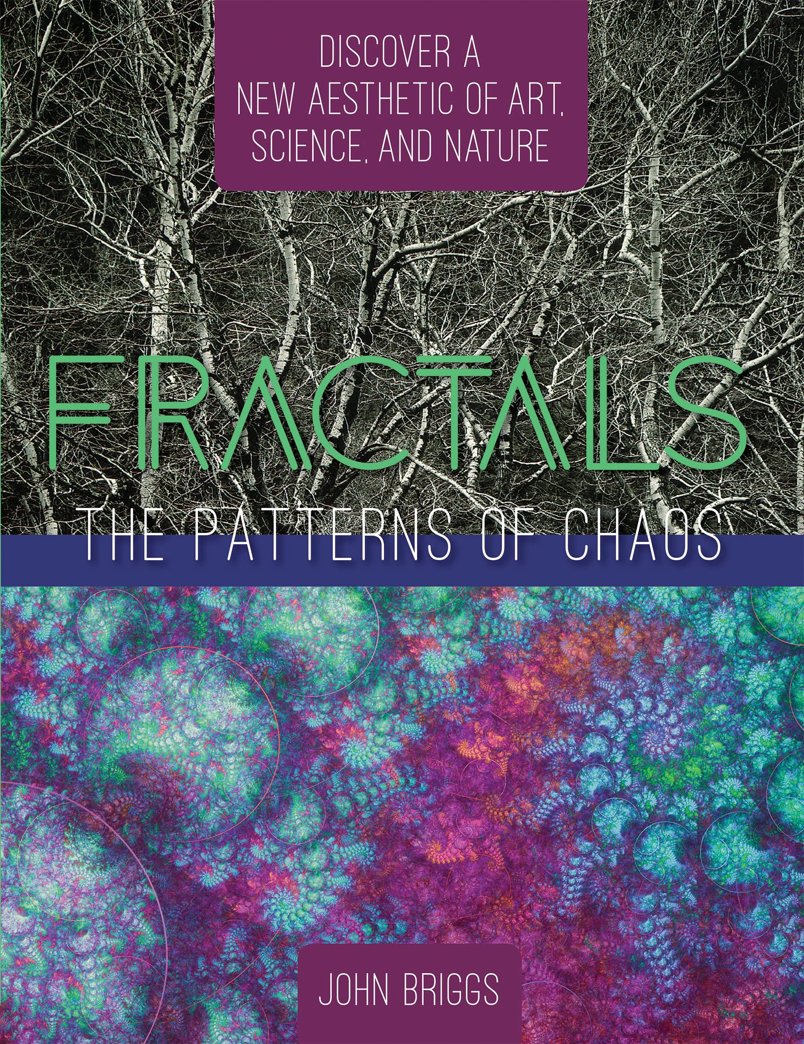 Fractals: The Patterns of Chaos