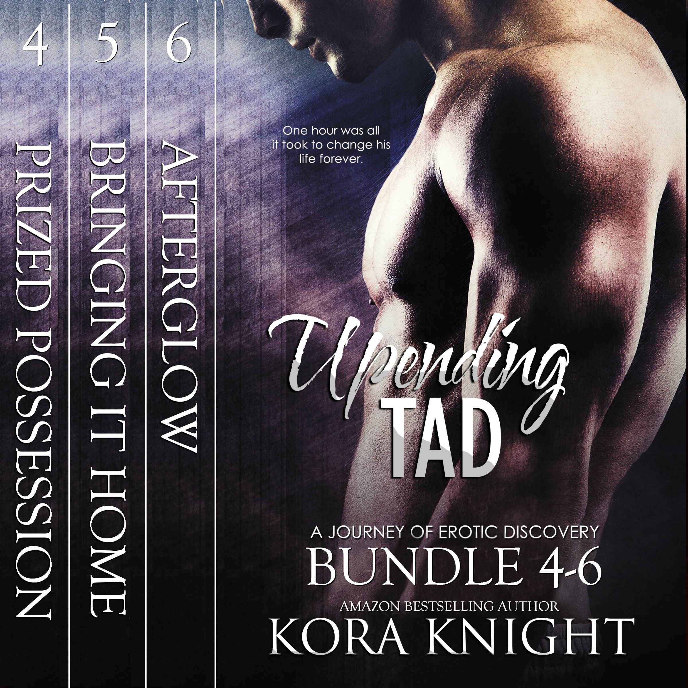 Upending Tad, Bundle 2: Volumes 4, 5, 6