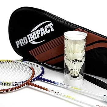 Family Games HIRALIY Badminton Rackets Set For Backyards, Lightweight Badminton Yard Games For Adults