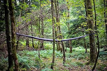 Amazon.com: Hennessy Hammock - Escape Zip XL - with Upgraded