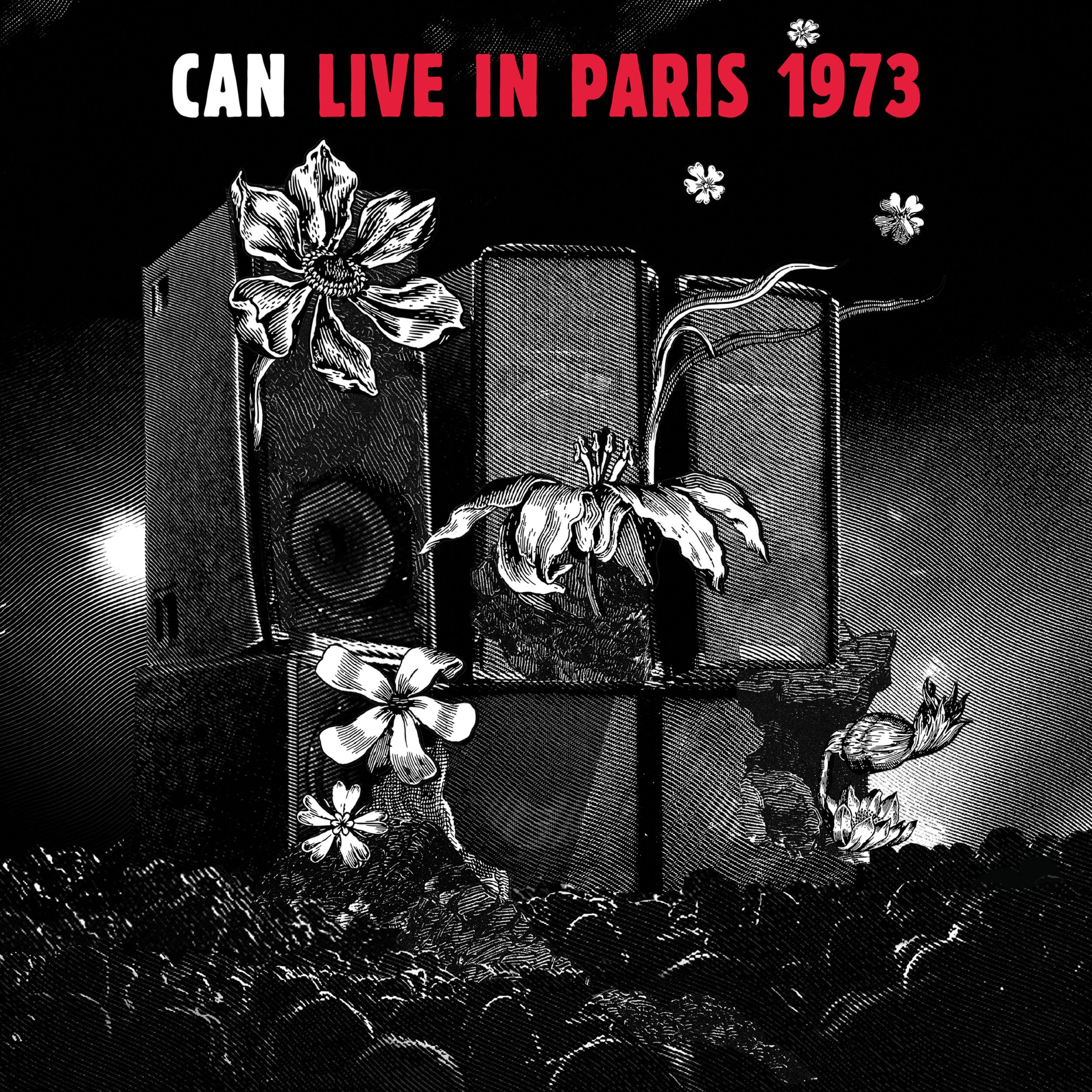 Live in Paris 1973 [Vinyl LP]