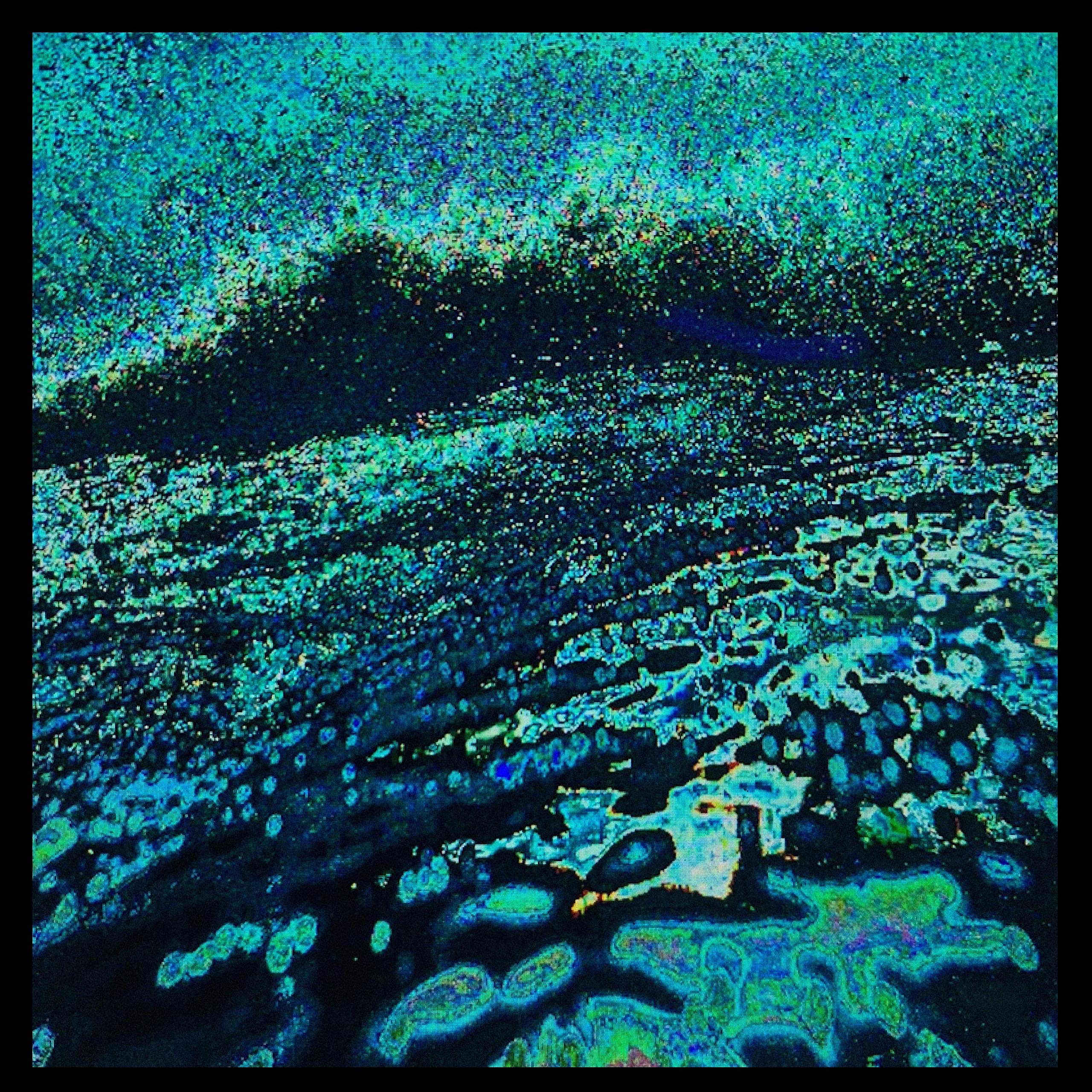 Summers Past Concern