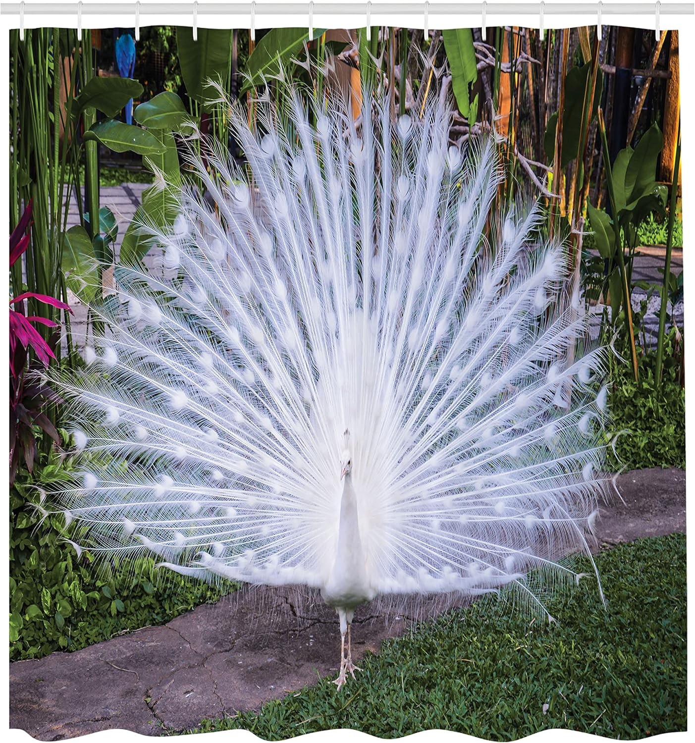 Ambesonne Peacock Shower Curtain, Peacock Open His Tail Feathers in Tropical Garden Unusual Birds Nature Ornament, Cloth Fabric Bathroom Decor Set with Hooks, 69" W x 70" L, White Green