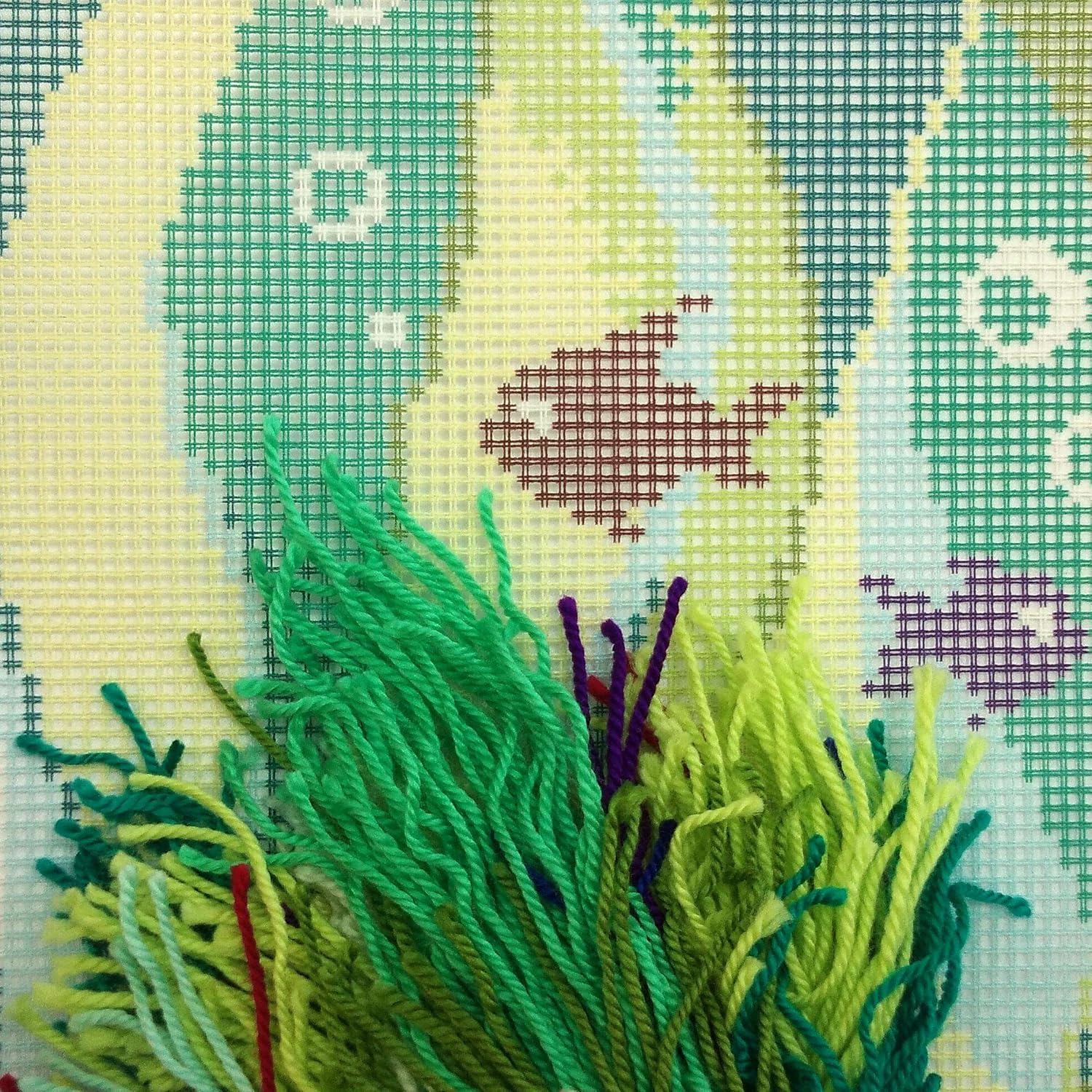 Brvsk Marine Stamped Cross-Stitch Kit for Adults and Beginners — Fish in Seaweed 16″ × 16″ with Clear, Precise Printed Design on Cotton Canvas; Includes 2 Needles, Yarn, and Easy-Read Chart