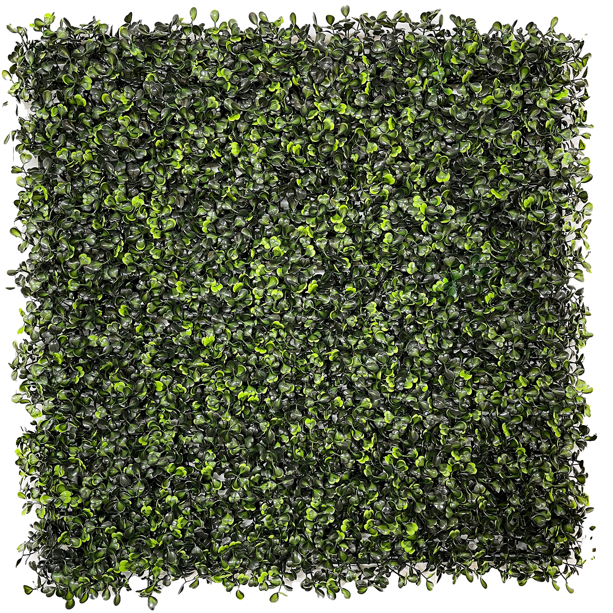 Best Artificial Green Boxwood 50Cm X 50Cm Mat Topiary Hedging Dense Panel Screening Uv Stable