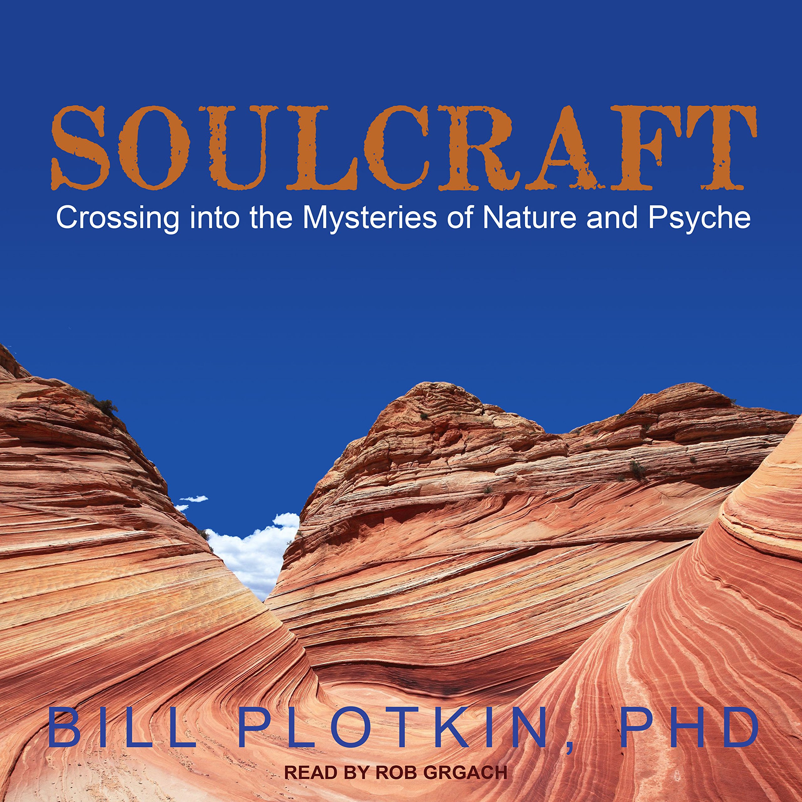 Cover art for Soulcraft