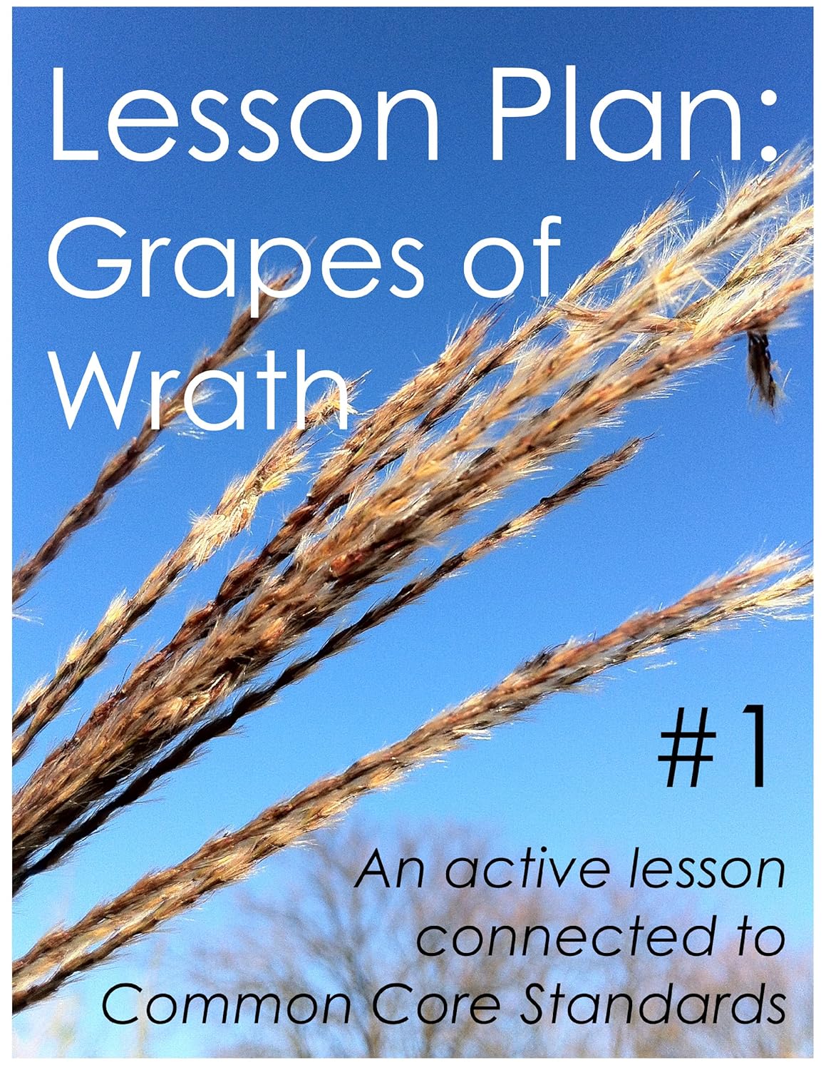 Lesson Plan 1 The Grapes of Wrath eBook Sullivan