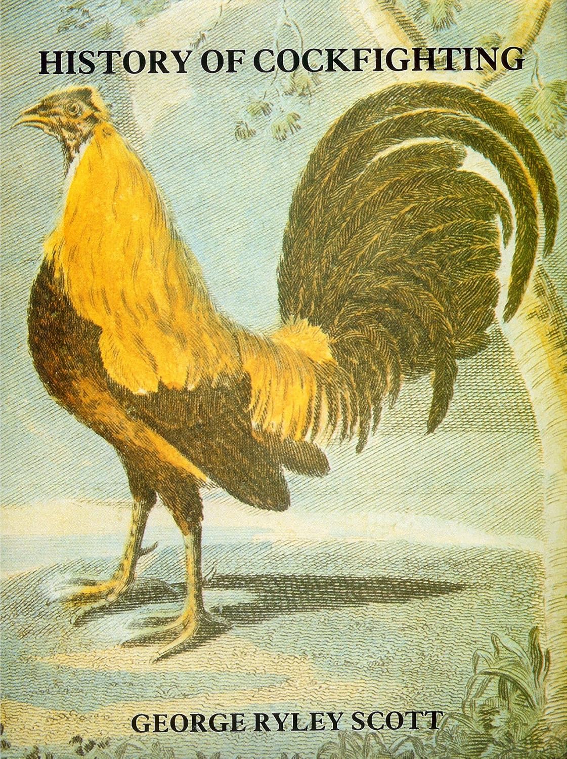 History of Cockfighting: Scott, George Riley: 9780862300609: Amazon.com ...