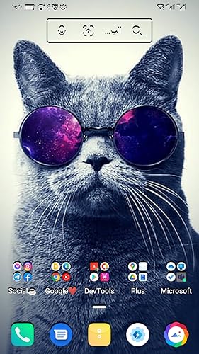 3D HD cats wallpapers