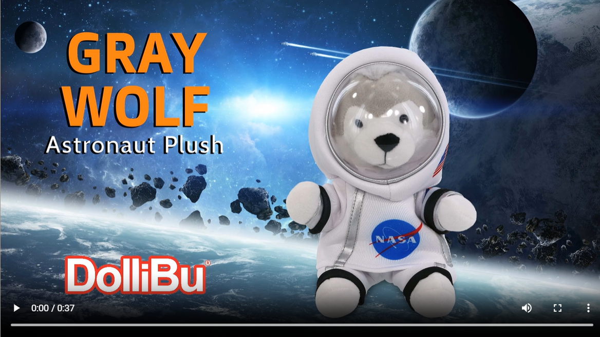 Amazon.com: DolliBu Grey Wolf Astronaut Plush Toy – Wild Life
