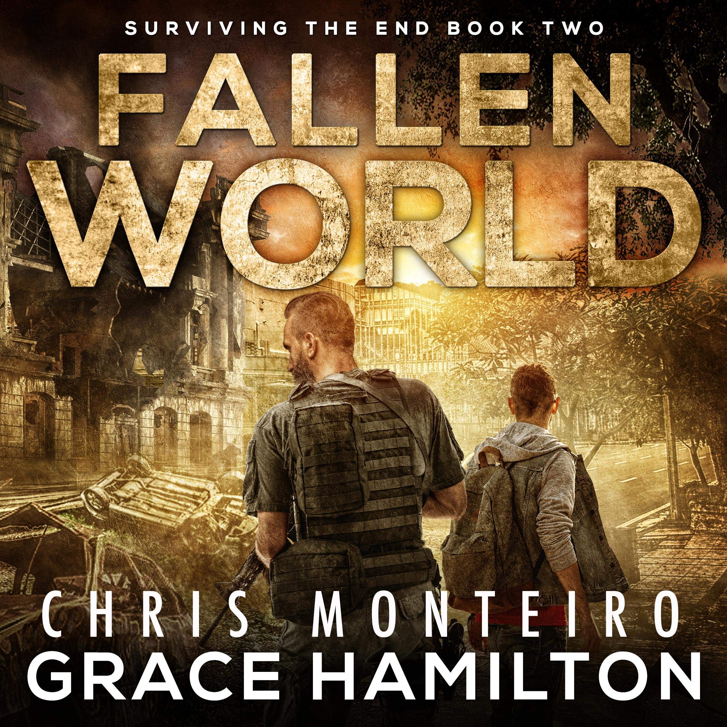 Cover art for Fallen World