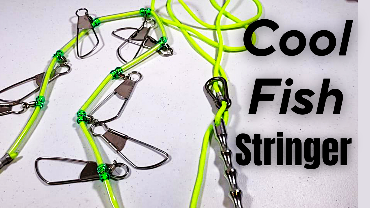 Watch Bluewing Fishing Stringer Stainless Steel Floating Rope on Amazon ...